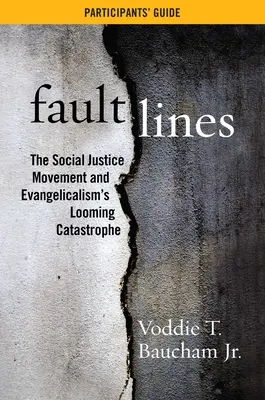 Ghidul participanților la Fault Lines - Fault Lines Participants' Guide