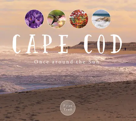 Cape Cod: O dată în jurul soarelui - Cape Cod: Once Around the Sun