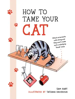 Cum să vă îmblânziți pisica - How to Tame Your Cat