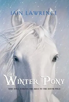 Poneiul de iarnă - The Winter Pony