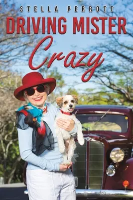 Conducerea domnului nebun - Driving Mister Crazy