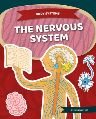Sistemul nervos - The Nervous System