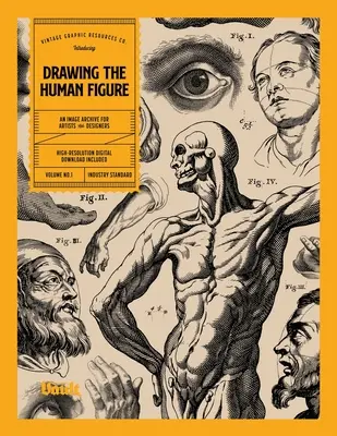 Desenarea figurii umane - Drawing the Human Figure