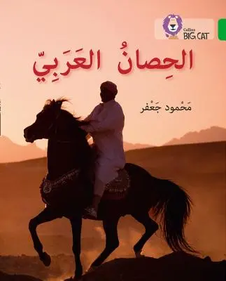 Arabian Horse - Nivelul 5 - Arabian Horse - Level 5