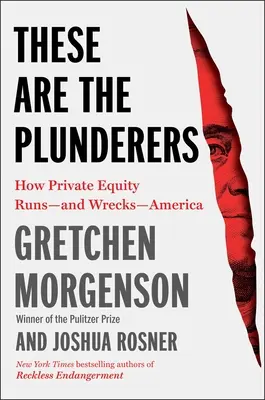 Aceștia sunt jefuitorii: How Private Equity Runs--And Wrecks--America - These Are the Plunderers: How Private Equity Runs--And Wrecks--America