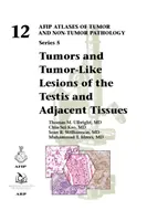 Tumori și leziuni asemănătoare tumorilor ale testiculului și ale țesuturilor adiacente - Tumors and Tumor-Like Lesions of the Testis and Adjacent Tissues