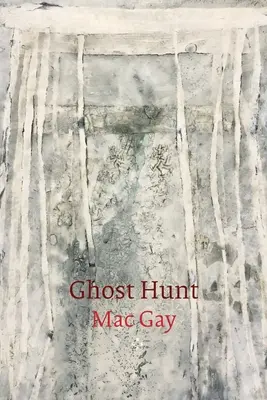 Vânătoare de fantome - Ghost Hunt