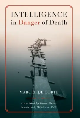 Intelligence in Danger of Death (ediția în limba engleză) - Intelligence in Danger of Death (English edition)