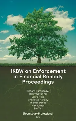 1kbw privind executarea în cadrul procedurilor de remediere financiară - 1kbw on Enforcement in Financial Remedy Proceedings