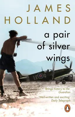 Pereche de aripi de argint - Pair of Silver Wings