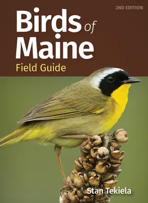 Ghidul de teren al păsărilor din Maine - Birds of Maine Field Guide