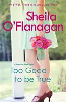 Too Good To Be True - O lectură plină de romantism și aventură - Too Good To Be True - A feel-good read of romance and adventure