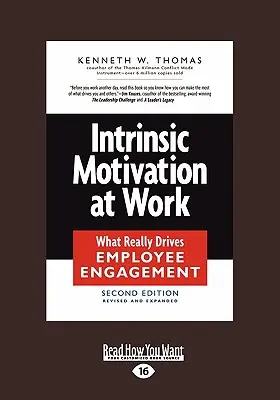 Intrinsic Motivation at Work (Motivația intrinsecă la locul de muncă): What Really Drives Employee Engagement (Text mare 16pt) - Intrinsic Motivation at Work: What Really Drives Employee Engagement (Large Print 16pt)
