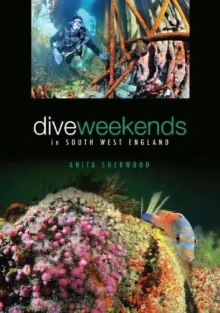 Weekend-uri de scufundări în sud-vestul Angliei - Dive Weekends in South West England