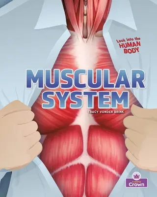 Sistemul muscular - Muscular System