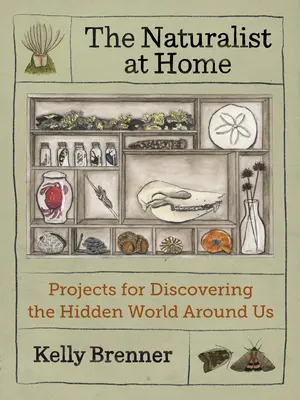 Naturalistul la el acasă: Proiecte pentru descoperirea lumii ascunse din jurul nostru - The Naturalist at Home: Projects for Discovering the Hidden World Around Us