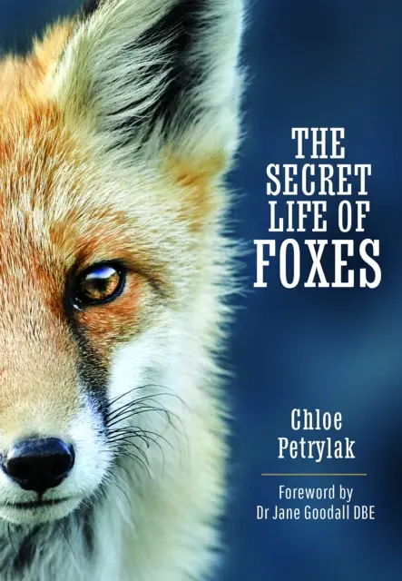 Viața secretă a vulpilor - The Secret Life of Foxes