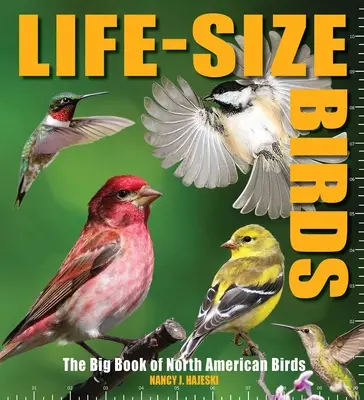 Life-Size Birds: Marea carte a păsărilor din America de Nord - Life-Size Birds: The Big Book of North American Birds