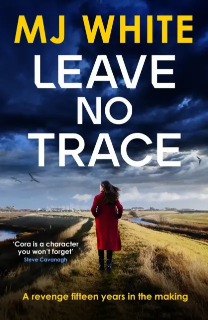Leave No Trace - Un roman polițist plin de suspans și întortocheat - Leave No Trace - A suspenseful, twisty detective novel