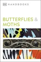Fluturi și molii (Butterflies and Moths) - Butterflies and Moths