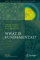 Ce este fundamental? - What Is Fundamental?
