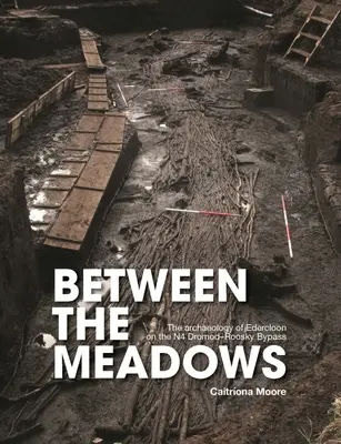 Between the Meadows: Arheologia lui Edercloon pe N4 Dromod-Roosky Bypass - Between the Meadows: The Archaeology of Edercloon on the N4 Dromod-Roosky Bypass
