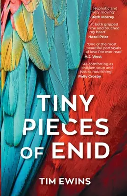 Mici bucăți din Enid - Tiny Pieces of Enid