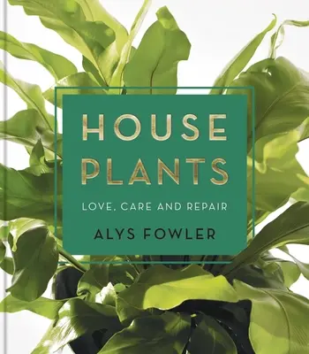 Plante de casă: Dragoste, îngrijire și reparații - House Plants: Love, Care and Repair