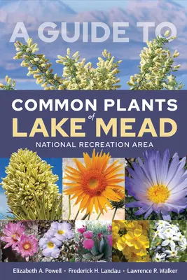 Un ghid al plantelor comune din zona națională de recreere Lake Mead - A Guide to Common Plants of Lake Mead National Recreation Area
