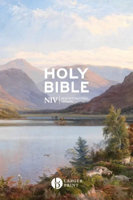 Biblia cu copertă cartonată NIV Larger Print Gift - NIV Larger Print Gift Hardback Bible