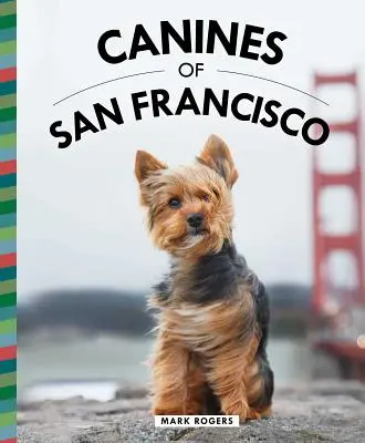Câinii din San Francisco - Canines of San Francisco