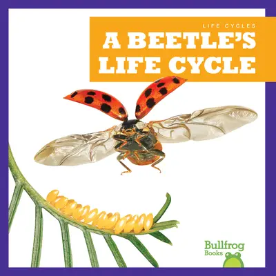 Ciclul de viață al unui gândac - A Beetle's Life Cycle
