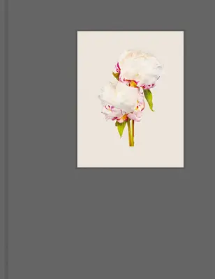 Cele mai frumoase flori - The Most Beautiful Flowers