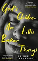 God's Children Are Little Broken Things - Câștigătorul Premiului Dylan Thomas 2023 - God's Children Are Little Broken Things - Winner of the 2023 Dylan Thomas Prize