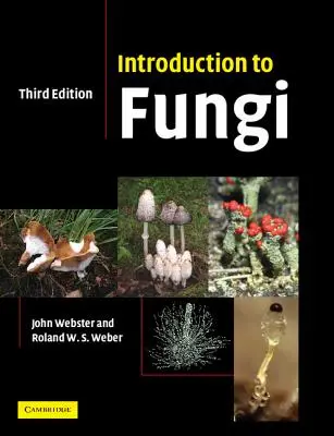 Introduction to Fungi (Introducere în ciuperci) - Introduction to Fungi