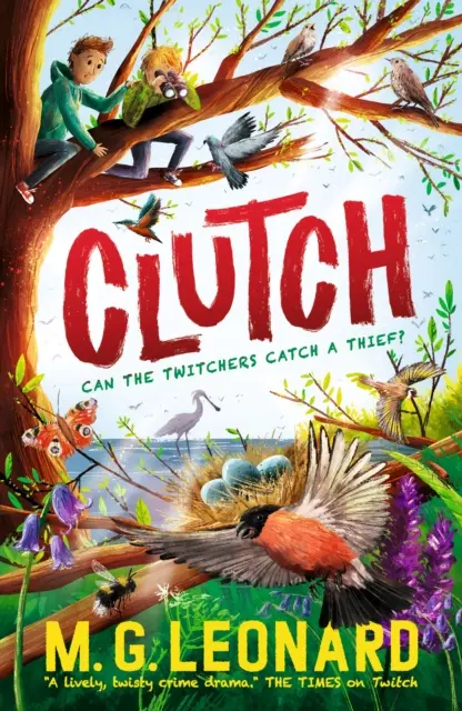 Ambreiaj - Clutch
