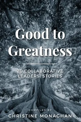 De la bine la măreție: 20 de povești ale liderilor colaborativi - Good to Greatness: 20 Collaborative Leaders' Stories