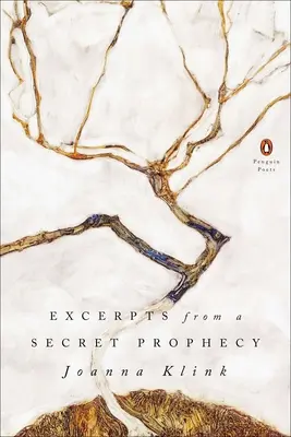 Extrase dintr-o profeție secretă (Excerpts from a Secret Prophecy) - Excerpts from a Secret Prophecy