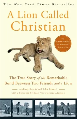 Un leu numit creștin - A Lion Called Christian