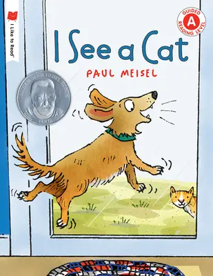 Văd o pisică - I See a Cat