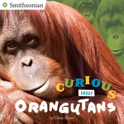 Curioși despre urangutani - Curious about Orangutans