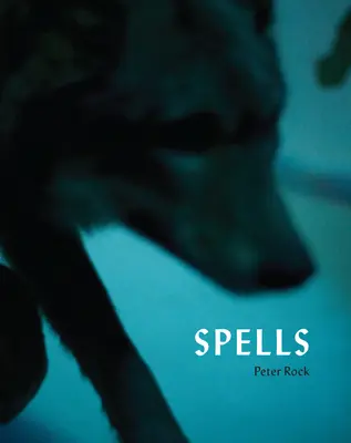 Vrăji: Un roman în fotografii - Spells: A Novel Within Photographs