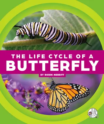 Ciclul de viață al unui fluture - The Life Cycle of a Butterfly