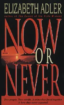 Acum sau niciodată - Un roman - Now or Never - A Novel