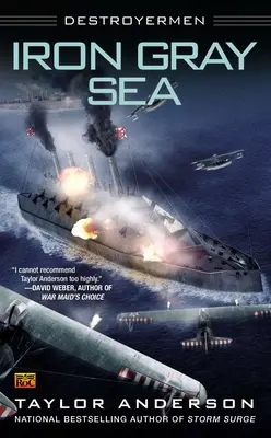 Marea cenușie de fier: Destroyermen - Iron Gray Sea: Destroyermen