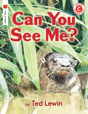 Mă poți vedea? - Can You See Me?