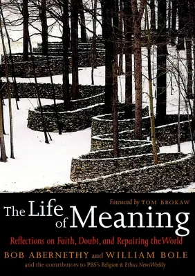 Viața de sens - Reflecții asupra credinței, îndoielii și reparării lumii - Life Of Meaning - Reflections on Faith, Doubt and Repairing the World