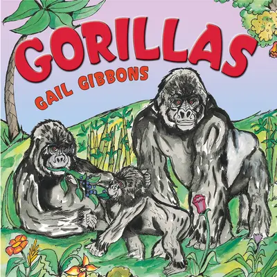 Gorile - Gorillas