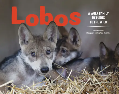 Lobos: O familie de lupi se întoarce în sălbăticie - Lobos: A Wolf Family Returns to the Wild