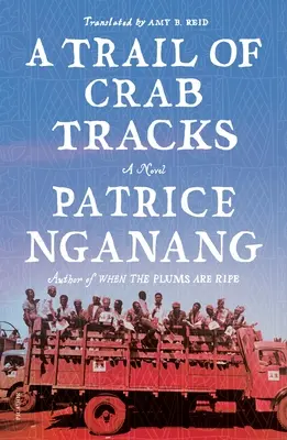 Urme de crabi - Trail of Crab Tracks